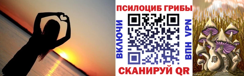 Псилоцибиновые грибы MAGIC MUSHROOMS  Новочеркасск 